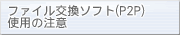 t@C\tgiP2Pjgp̒